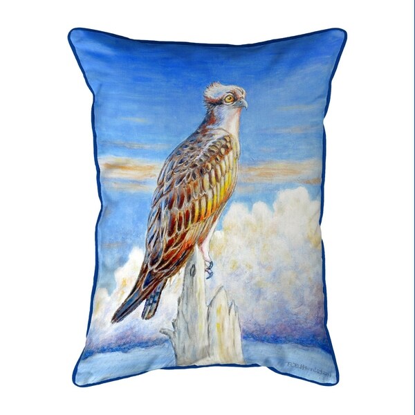 Osprey Storm Extra Large Zippered Pillow 20x24