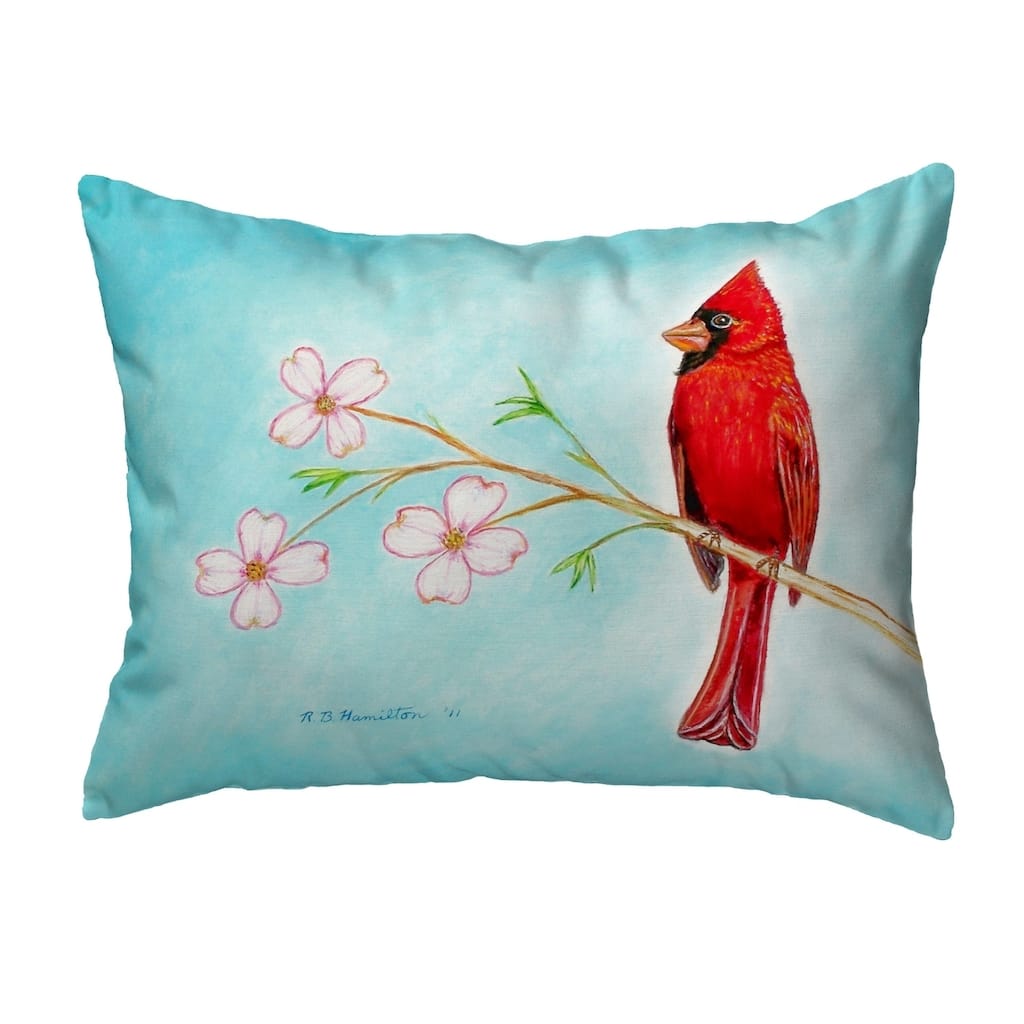 Dick's Cardinal Small No-Cord Pillow 11x14