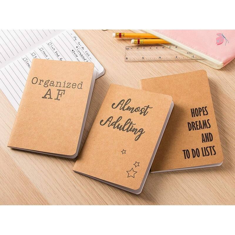 Paper Junkie 12-Pack Lined Kraft Notebook, 6 Different Designs, Brown, 4.1 x 5.8 Inch