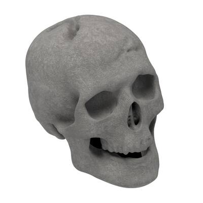 Regal Flame Human Skull Ceramic Wood Large Gas Fireplace Logs Logs for All Types of Outdoor Fireplaces & Fire Pits - Gray