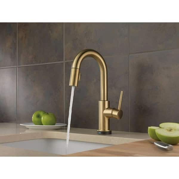 Single Handle Pull-Down Kitchen Faucet with Touch2O® Technology in Chrome  9159T-DST