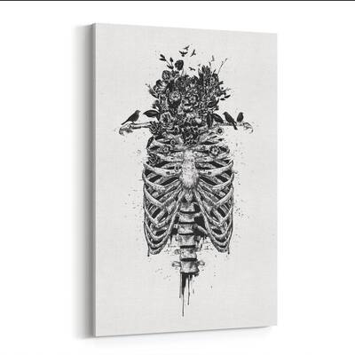 Noir Gallery Floral Skeleton Nature Illustration Canvas Wall Art Print