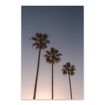 Noir Gallery Dana Point California Nature Photo Metal Wall Art Print