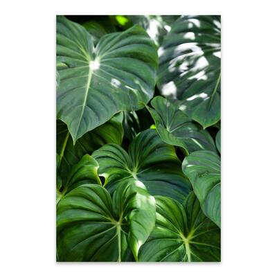 Noir Gallery Lake Wales Florida Floral Tropical Metal Wall Art Print