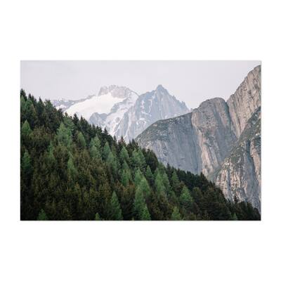 Noir Gallery Susten Switzerland Forest Photo Unframed Art Print/Poster
