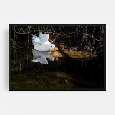 Noir Gallery Emmental Switzerland Humor Duck Photo Framed Art Print