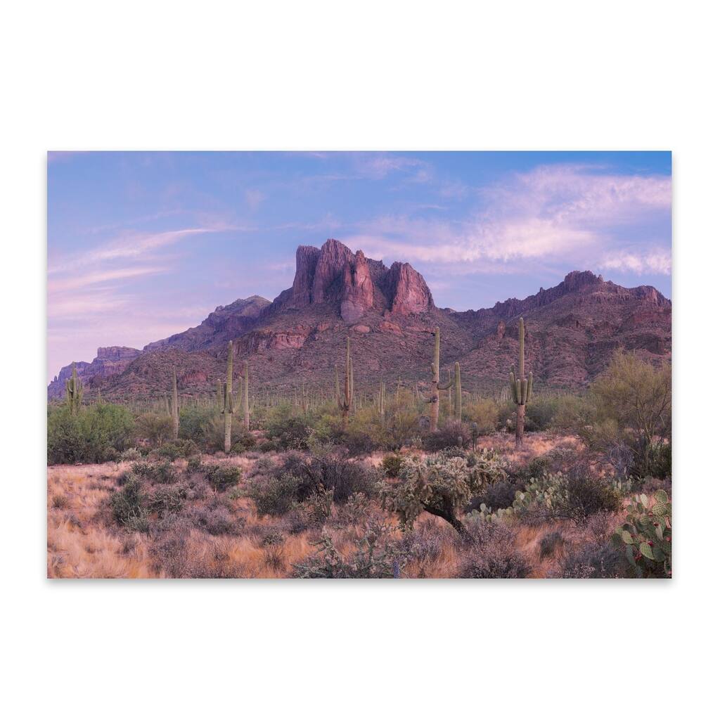 Noir Gallery Phoenix Arizona Mountains Desert Photo Metal Wall Art Print
