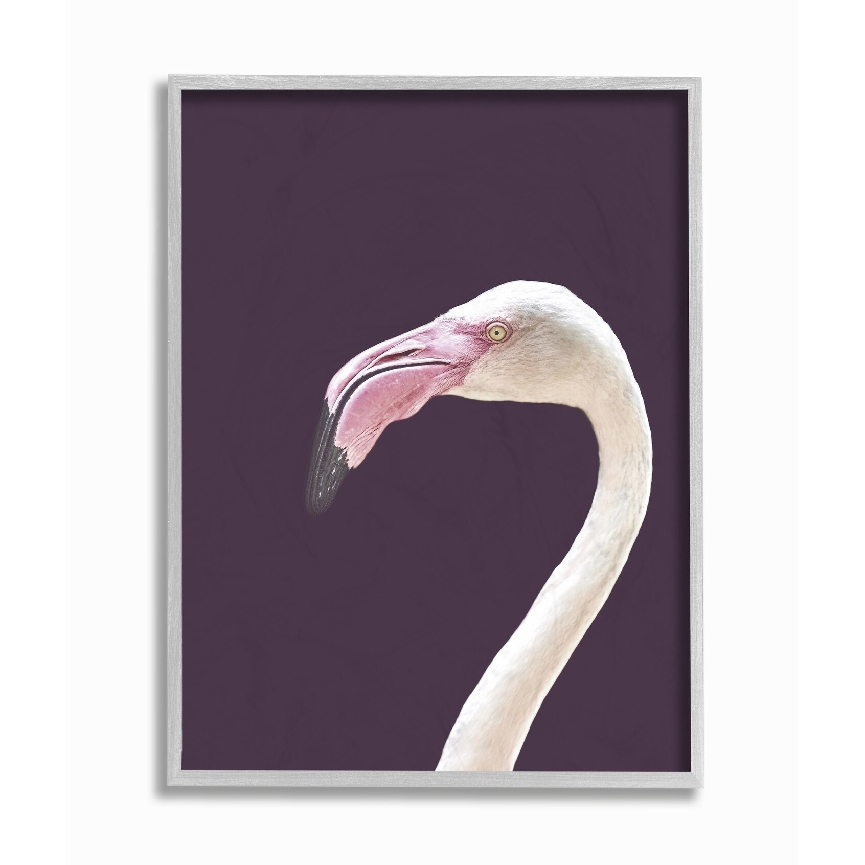 Stupell Industries Floral Flamingo Pink Portrait Black Framed Wall Art Multi-Color 12 x 12
