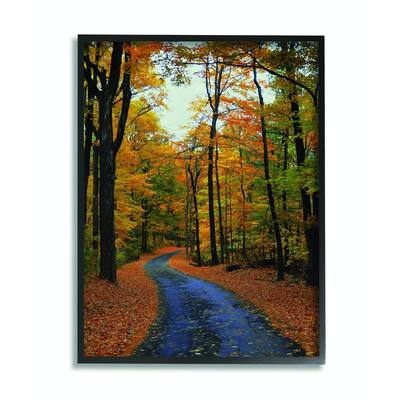 Stupell Autumn Road Forest Landscape Photograph Framed Wall Art