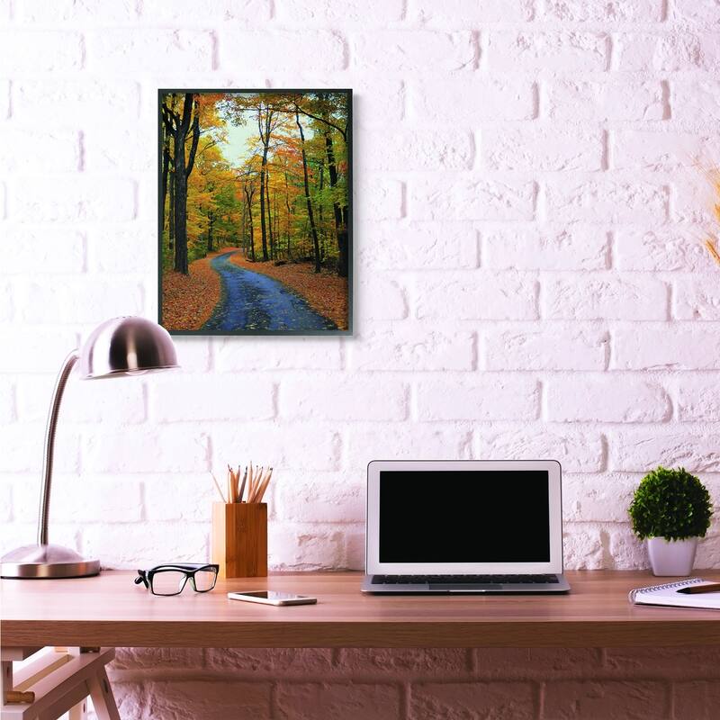 Stupell Autumn Road Forest Landscape Photograph Framed Wall Art