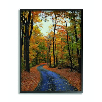 Stupell Autumn Road Forest Landscape Photograph Framed Wall Art