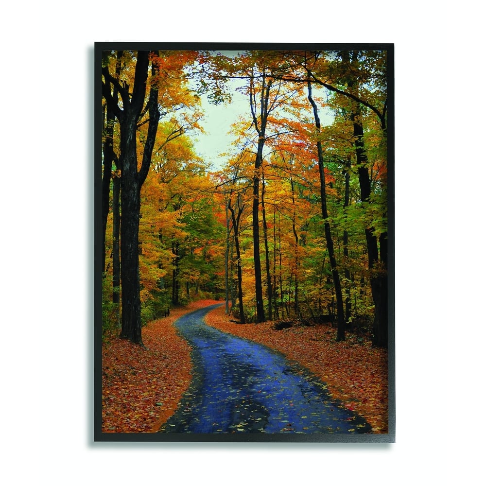 Stupell Autumn Road Forest Landscape Photograph Framed Wall Art