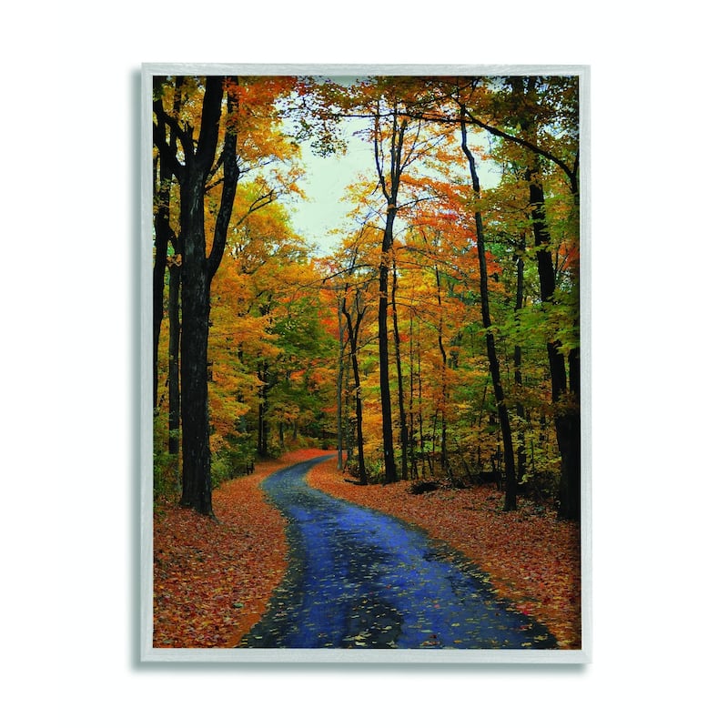 Stupell Autumn Road Forest Landscape Photograph Framed Wall Art