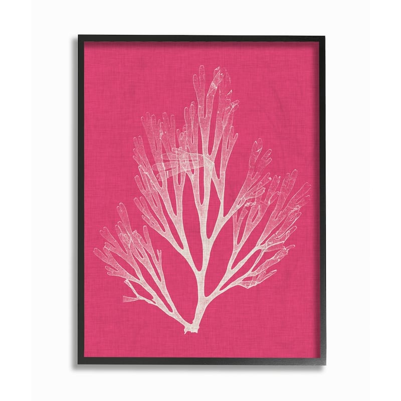 Stupell Coral Seaweed Magenta White Beach Design Framed Wall Art, Design by Vision Studio - 16 x 20 - Black