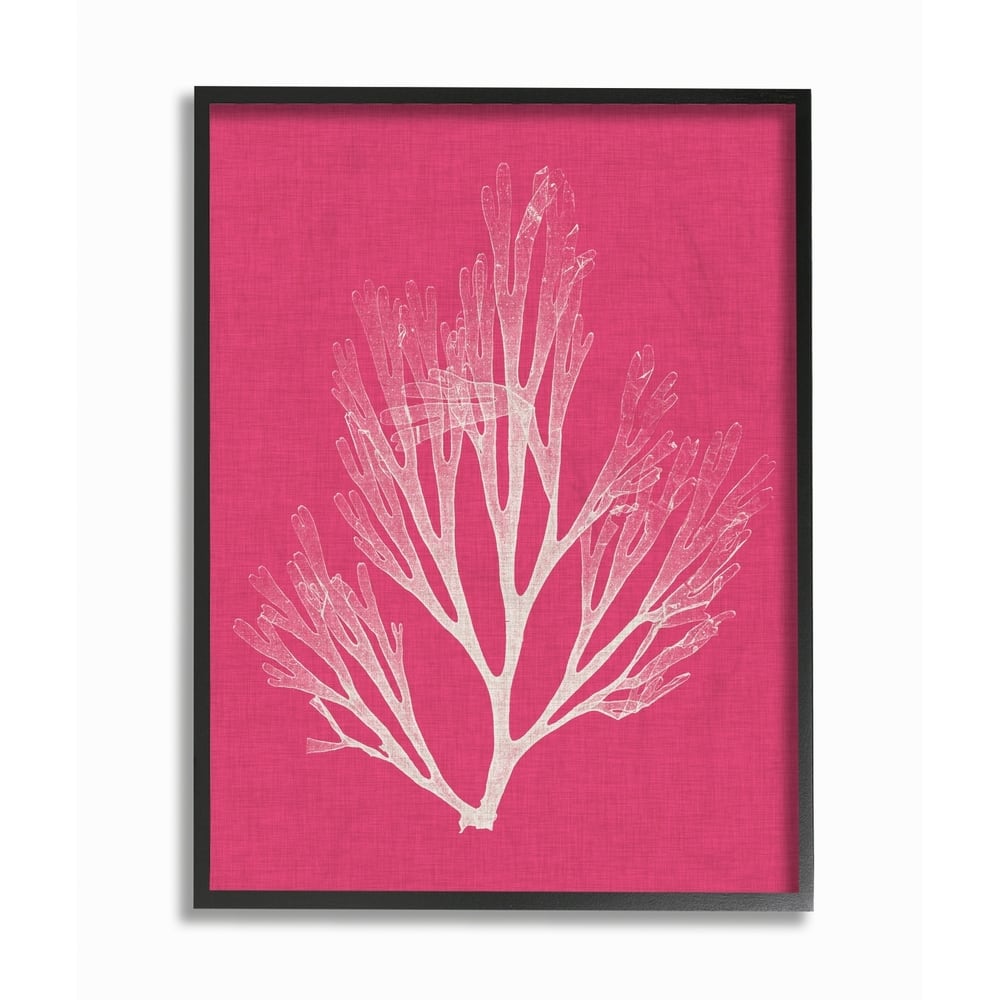 Stupell Coral Seaweed Magenta White Beach Design Framed Wall Art, Design by Vision Studio