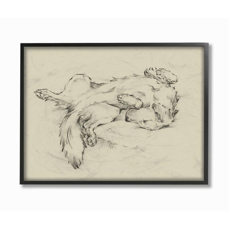 Stupell Dog Napping Pet Animal Drawing Framed Wall Art, Design by Ethan Harper