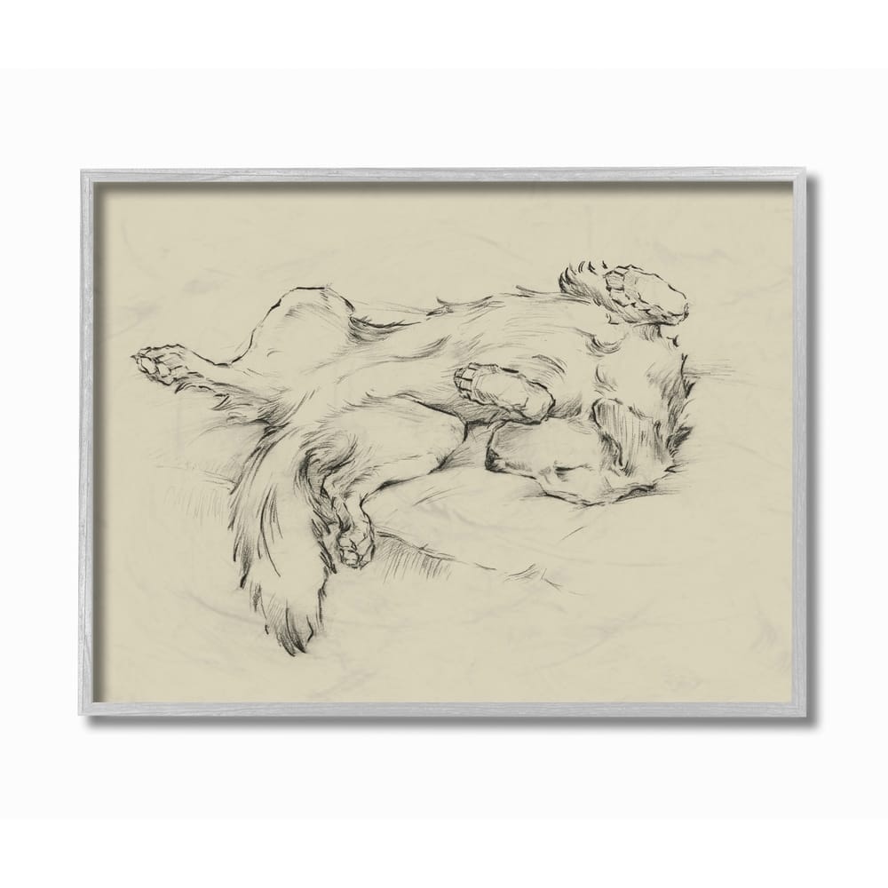 Stupell Dog Napping Pet Animal Drawing Framed Wall Art, Design by Ethan Harper