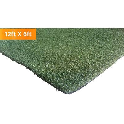 Pzg Premium Artificial Grass Rug W/Drainage Holes & Rubber Backing|2 Tone Realistic Synthetic Grass Mat|Size: 8'X5'
