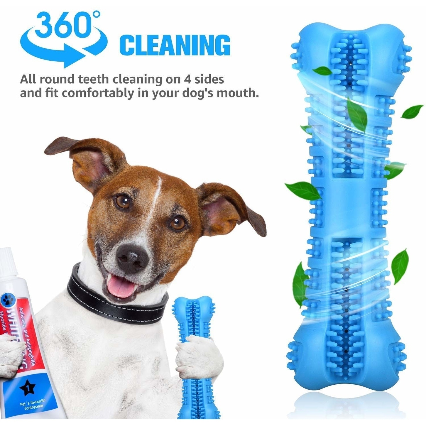 dog toothbrush toothpaste