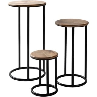 Carbon Loft  Auriemma Iron and Wood Handcrafted Nesting Plant Stands (Set of 3)