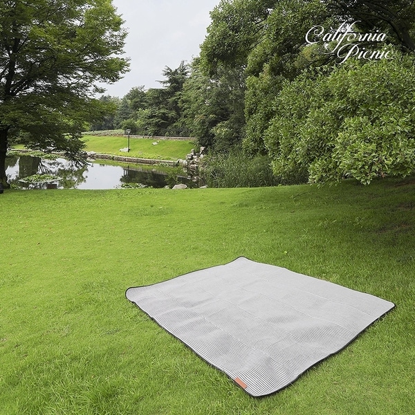 beach and picnic blanket