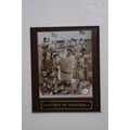 Babe Ruth Collectible Plaque
