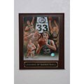 Larry Bird Collectible Plaque