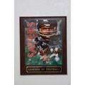 Gale Sayers Plaque