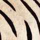 preview thumbnail 3 of 2, Ghyslaine Zebra 2 Piece Decorative Box Set