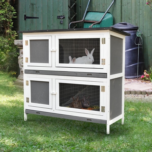 dwarf rabbit hutch