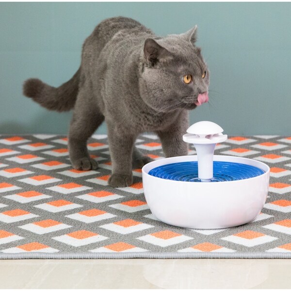 recirculating water fountain for cats
