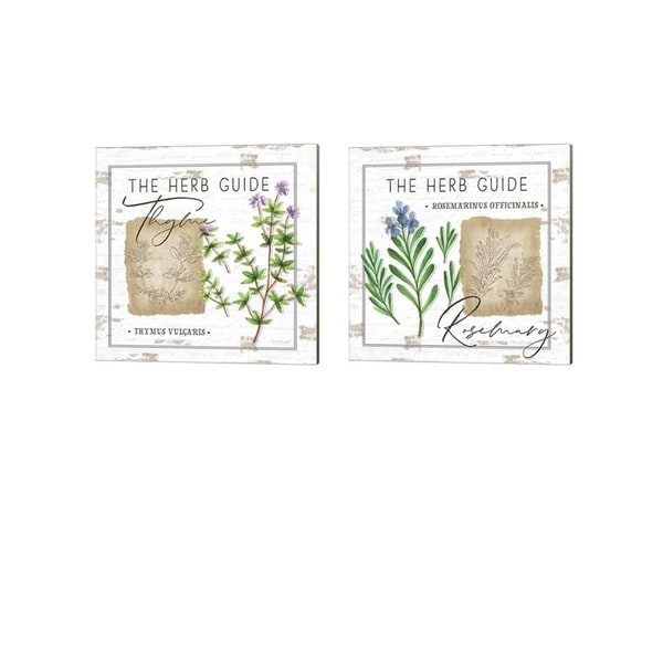 Jennifer Pugh 'Herb Guide - Thyme & Rosemary' Canvas Art (Set of 2)