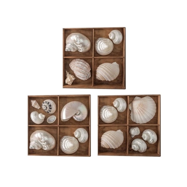 Assaf Frank 'Seashells Treasures' Canvas Art (Set of 3)