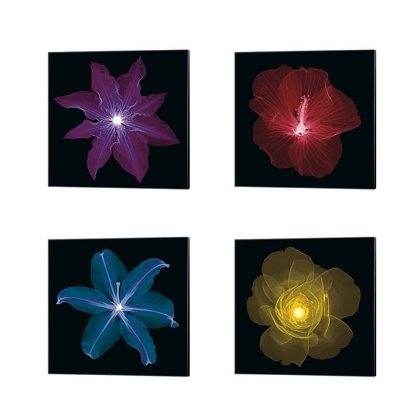Jim Wehtje 'Clematis, Hibiscus, Lily & Rose' Canvas Art (Set of 4)