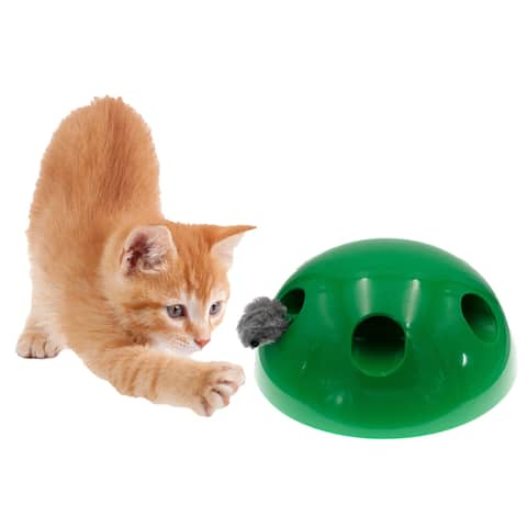 peekaboo cat toy