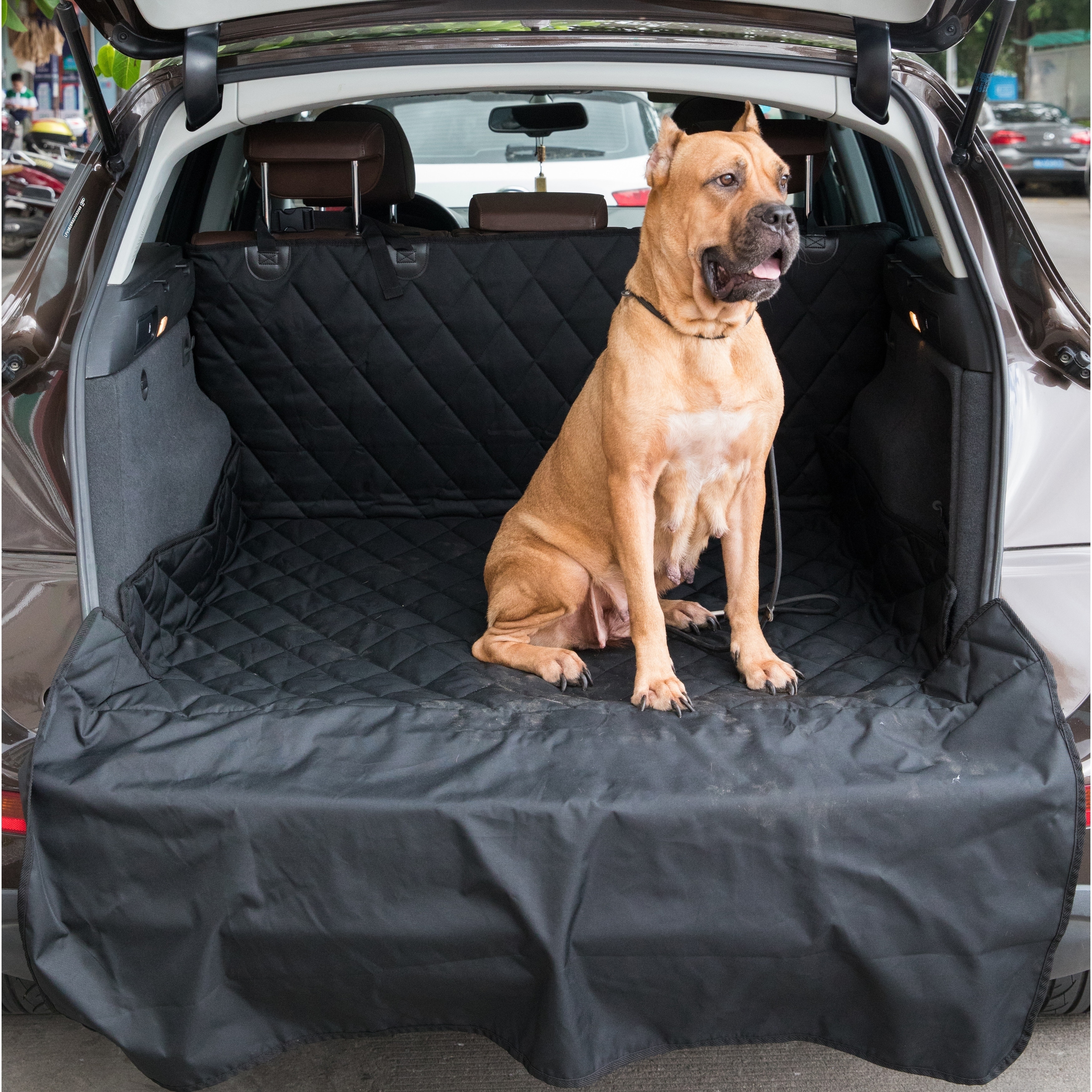 suv cargo dog cover