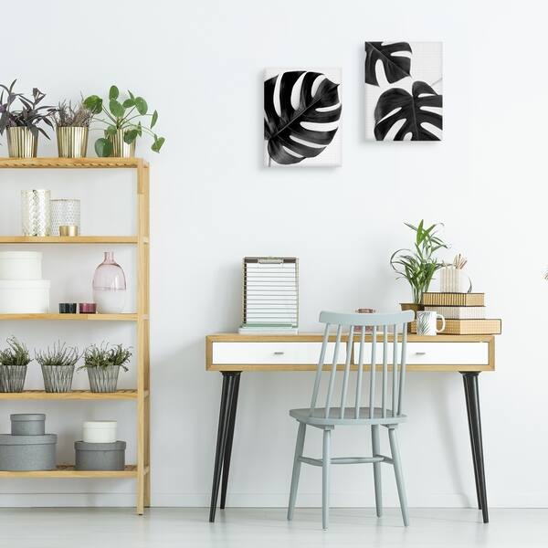 golden pothos. Devil's Ivy | Golden Pothos