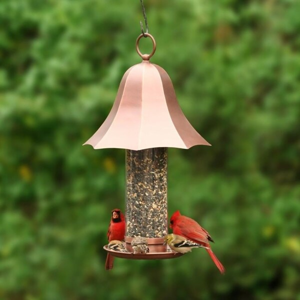 ninja seed feeder