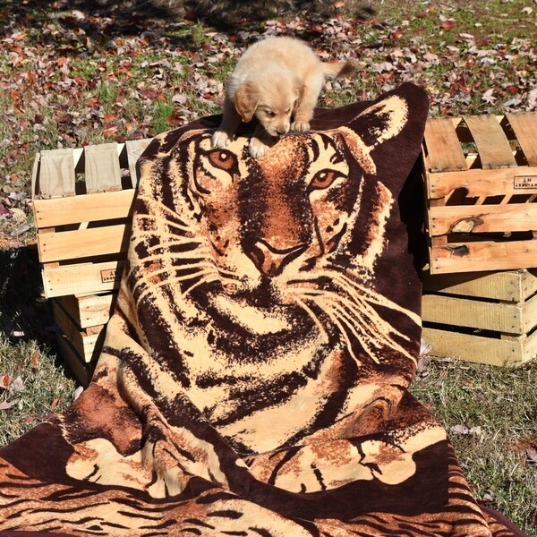 Tiger woven throw hot sale