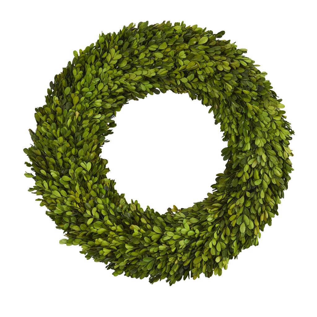 24" Preserved Boxwood Wreath