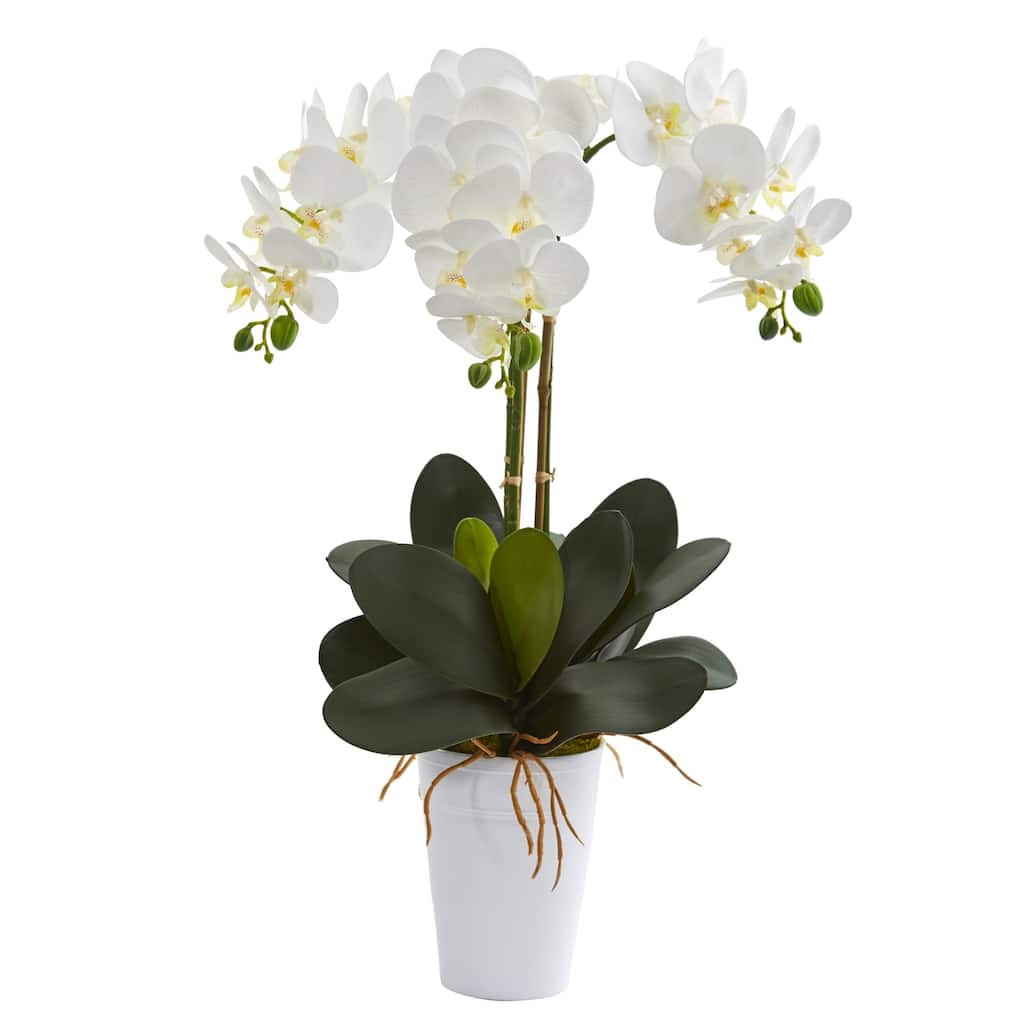 24" Phalaenopsis Orchid Artificial Arrangement in White Vase