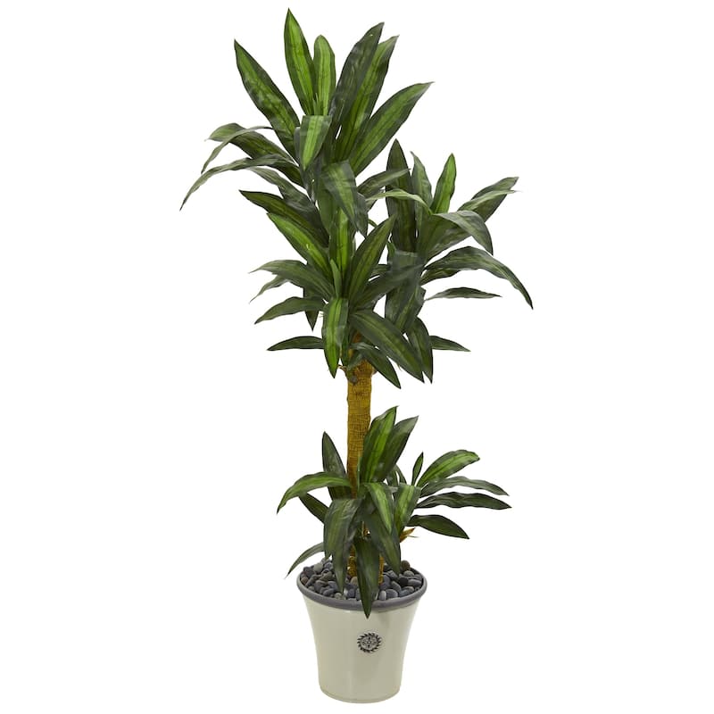 5' Yucca Artificial Plant in Decorative Planter - N/A