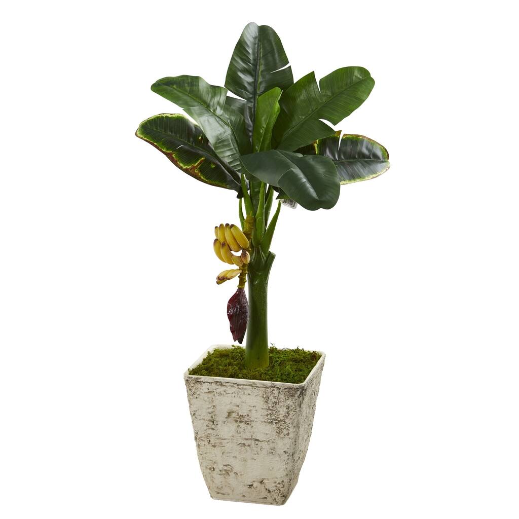3' Banana Artificial Tree in Country White Planter