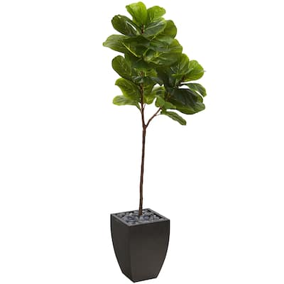 5.5' Fiddle Leaf Artificial Tree in Black Planter (Real Touch)