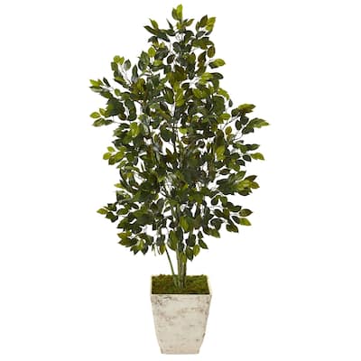 52" Ficus Artificial Tree in Country White Planter