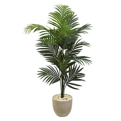 62" Kentia Artificial Palm Tree in Sandstone Planter