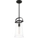 preview thumbnail 17 of 19, Quoizel Stella Clear 1-light Mini Pendant