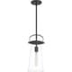 preview thumbnail 15 of 19, Quoizel Stella Clear 1-light Mini Pendant