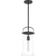 preview thumbnail 16 of 19, Quoizel Stella Clear 1-light Mini Pendant