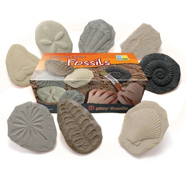 slide 2 of 2, Yellow Door® Let's Investigate Fossil Stone, Pack of 8